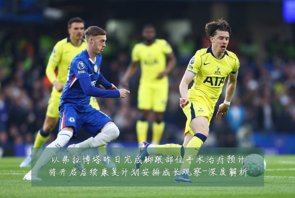 以弗拉博塔昨日完成脚跟部位手术治疗预计将开启后续康复计划安排成长观察-深度解析
