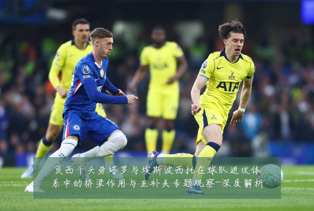 莫西干头劳塔罗与埃斯波西托在球队进攻体系中的桥梁作用与互补关专题观察-深度解析